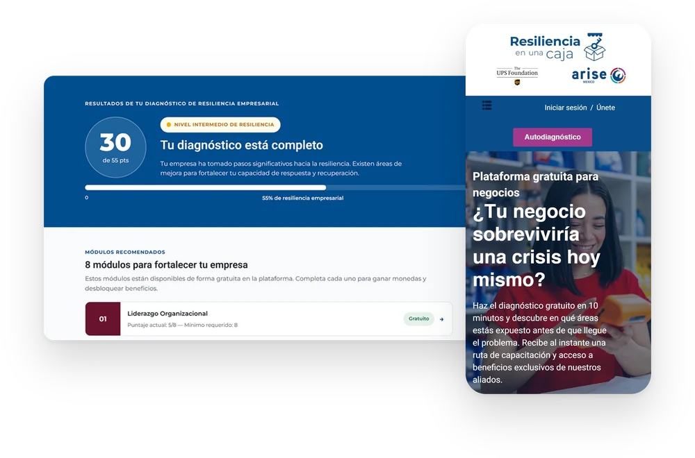 Diagnostic results on desktop and the homepage on mobile