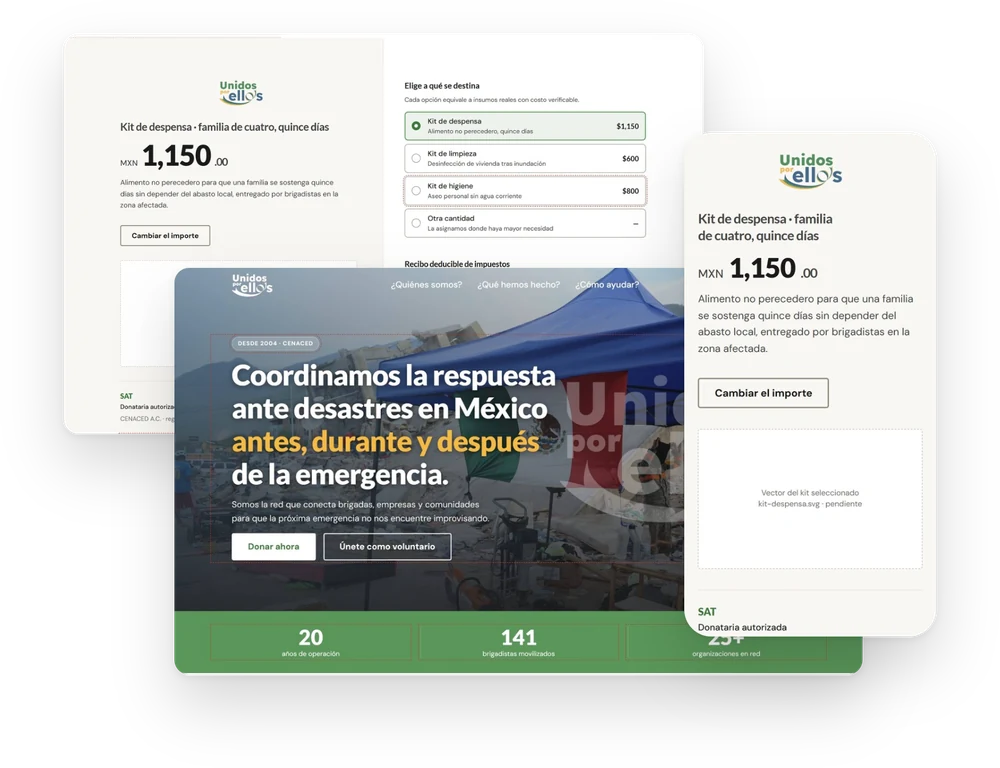 The donation page on desktop and mobile, and the campaign homepage