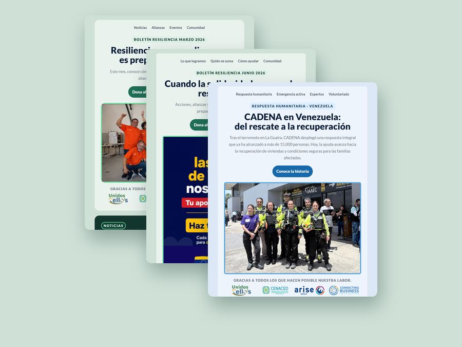 Three editions of the ARISE MX newsletter built on one template