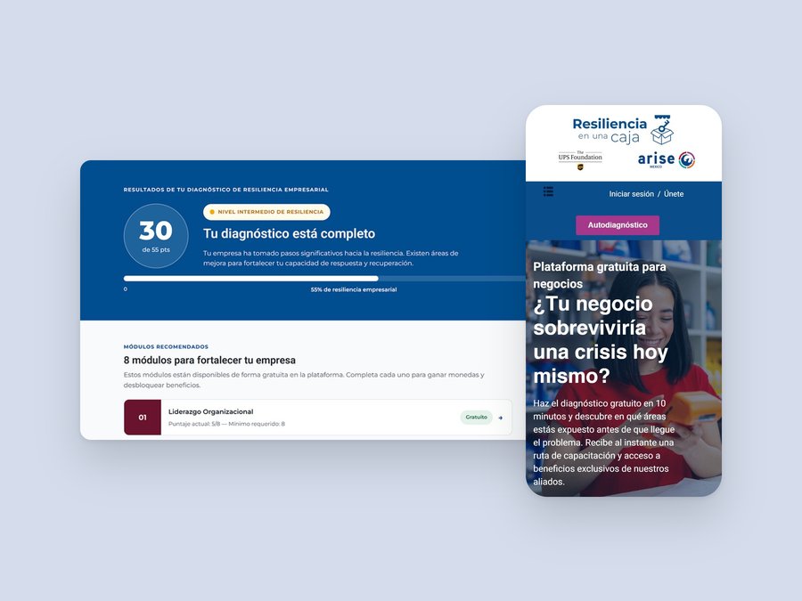 Resiliencia en una Caja: diagnostic results on desktop and the homepage on mobile